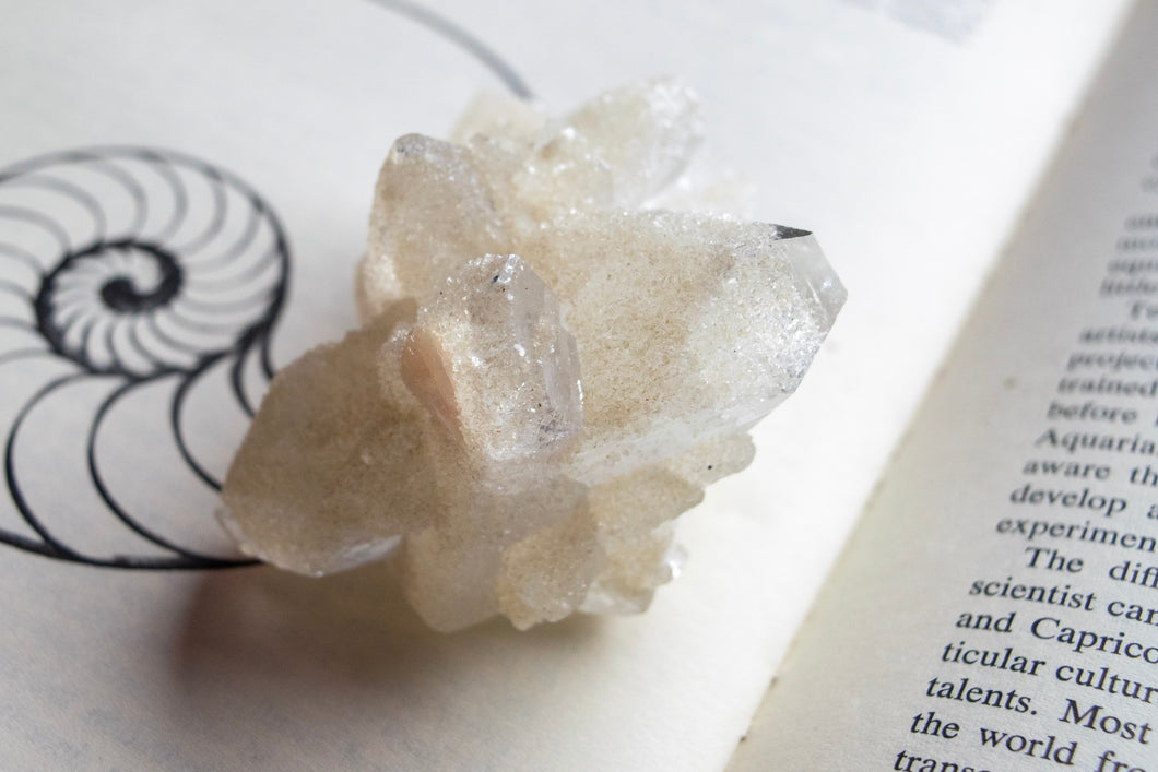 Apophylite cluster