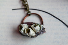 Load image into Gallery viewer, Shipwrecked V.2 Barnacles on Shell Electroformed Pendant
